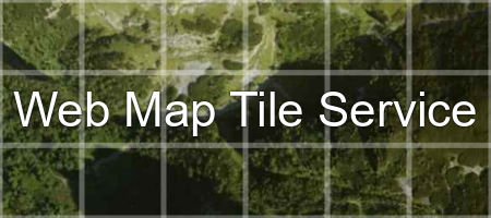 custom service base maps